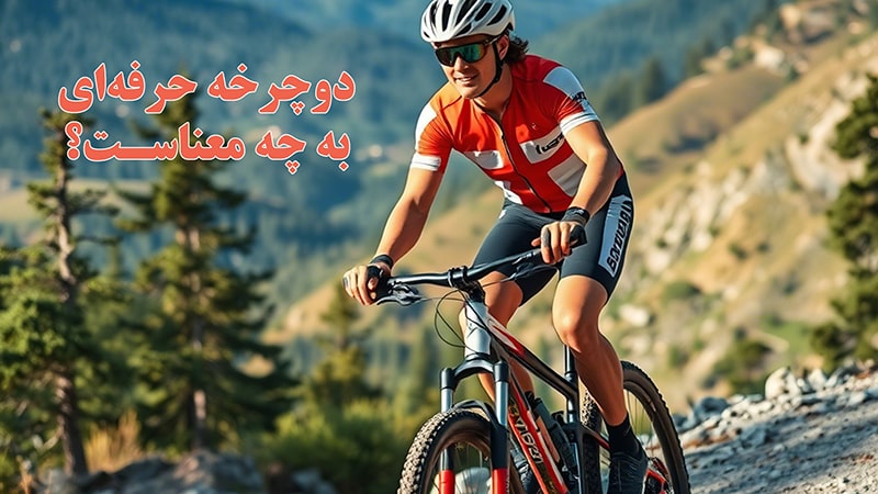 دوچرخه حرفه ای به چه معناست؟