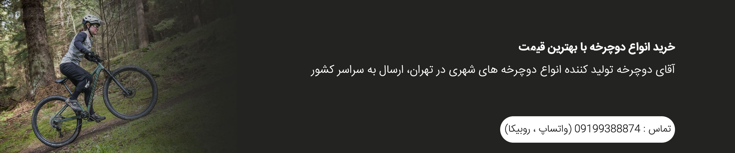 خرید دوچرخه بدون واسطه از آقای دوچرخه